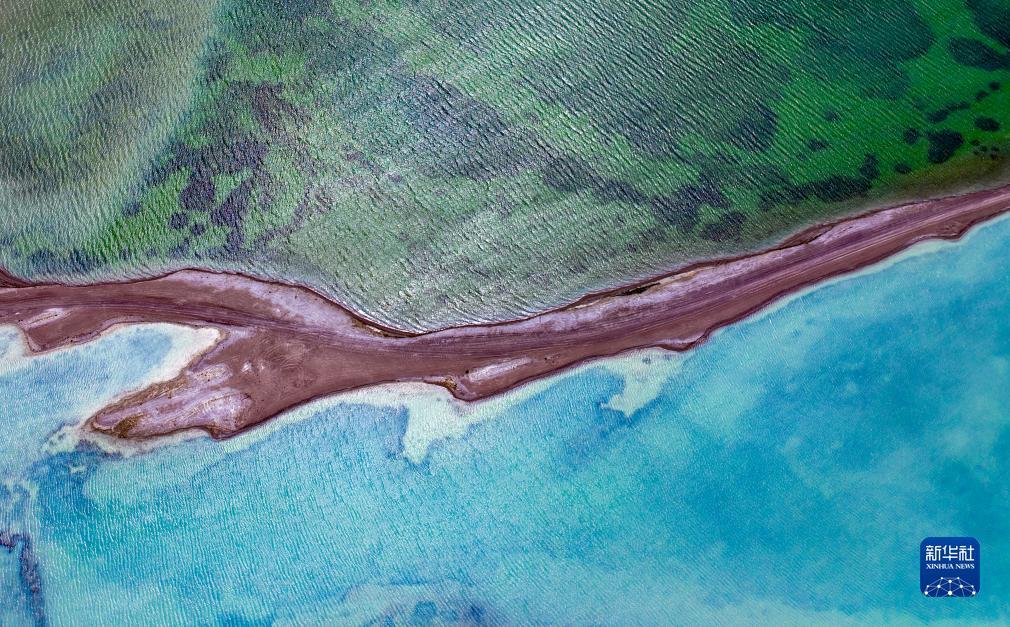 巴黎人线路检测